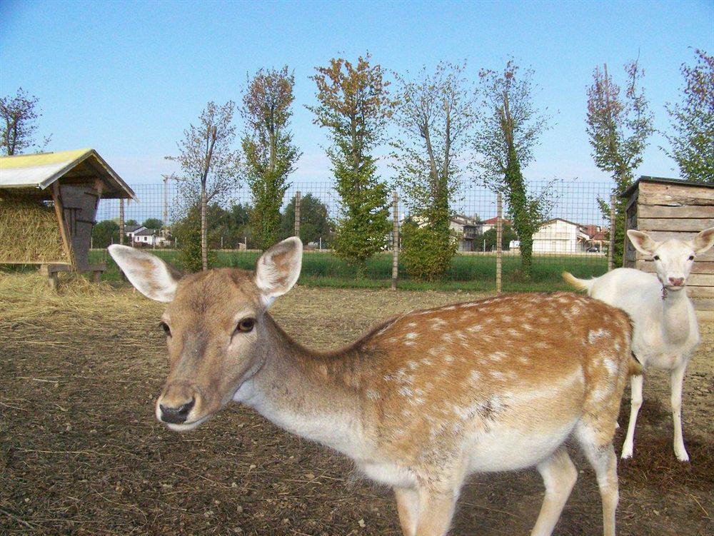 הוילה San Liberale Agriturismo Nonna Rina מראה חיצוני תמונה