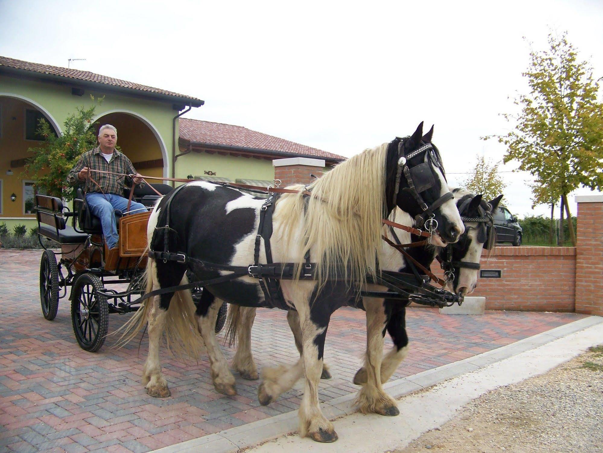 הוילה San Liberale Agriturismo Nonna Rina מראה חיצוני תמונה